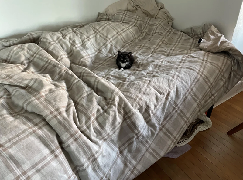 Cheezburger Image 10619382016