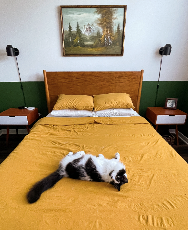 Cheezburger Image 10619385088