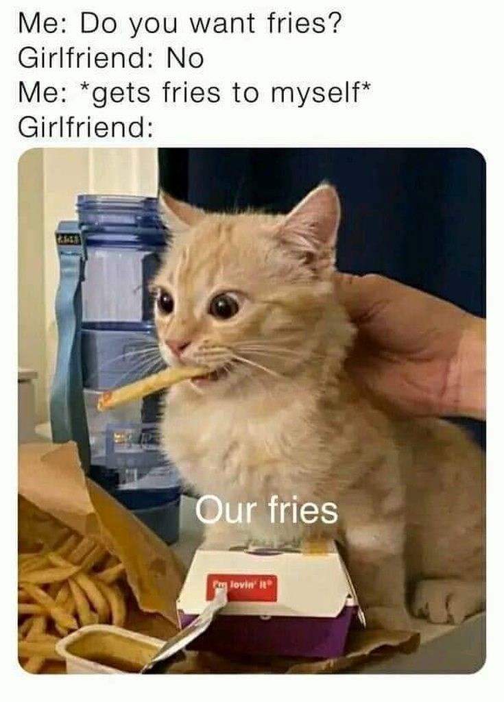 Me: Do you want fries? Girlfriend: No Me: *gets fries to myself* Girlfriend: Our fries Fm lovin' it