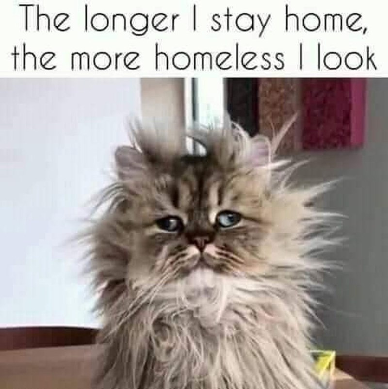 The longer I stay home, the more homeless I look