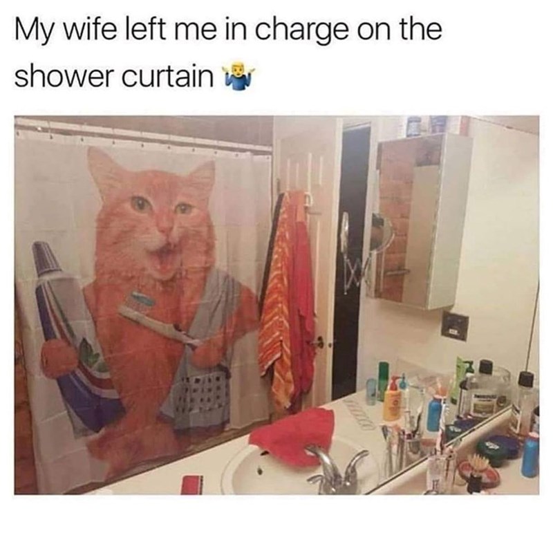 My wife left me in charge on the shower curtain