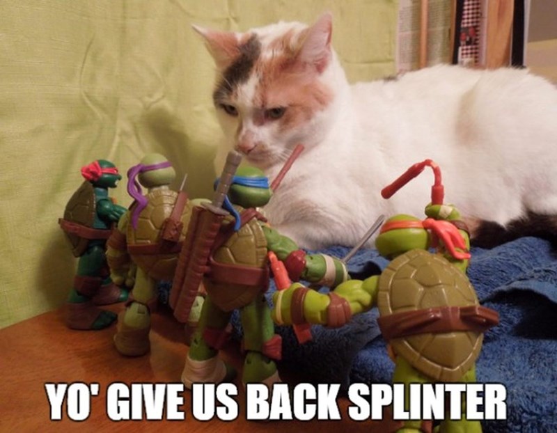 YO' GIVE US BACK SPLINTER