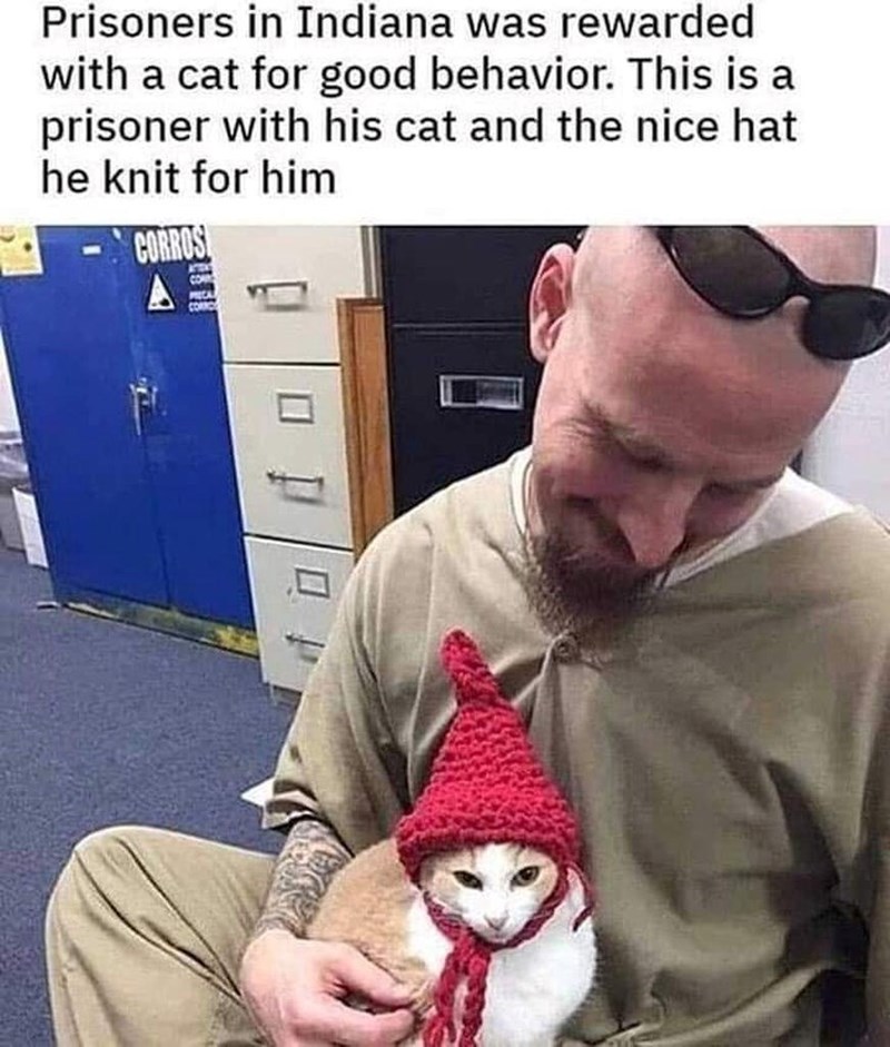 Prisoners in Indiana was rewarded with a cat for good behavior. This is a prisoner with his cat and the nice hat he knit for him CORROS