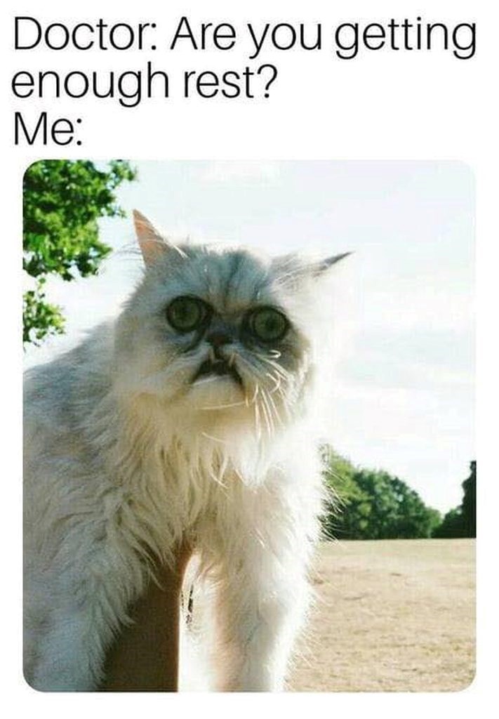 Doctor: Are you getting enough rest? Me: