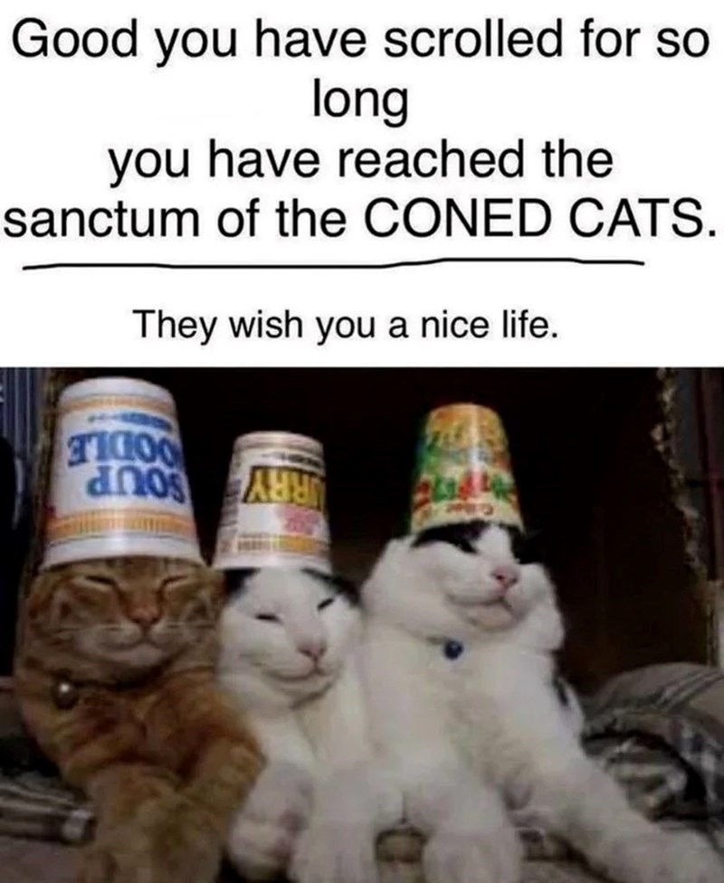 Good you have scrolled for so long you have reached the sanctum of the CONED CATS. They wish you a nice life. 1000