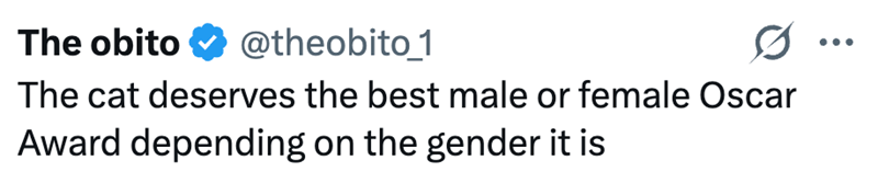 The obito ✔ @theobito 1 0 The cat deserves the best male or female Oscar Award depending on the gender it is