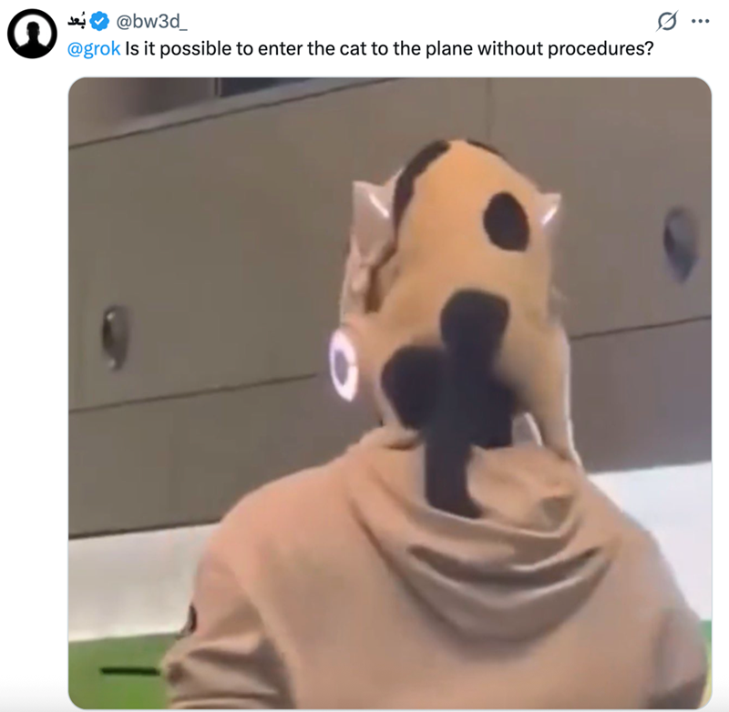 @bw3d_ @grok Is it possible to enter the cat to the plane without procedures? ...