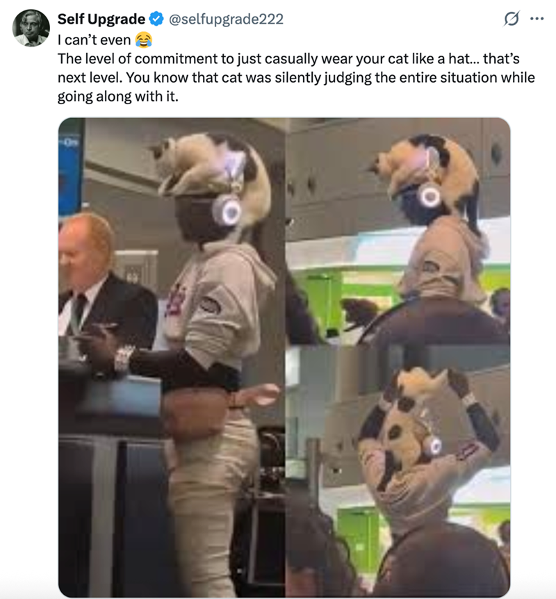 Self Upgrade I can't even @selfupgrade222 ... The level of commitment to just casually wear your cat like a hat... that's next level. You know that cat was silently judging the entire situation while going along with it.