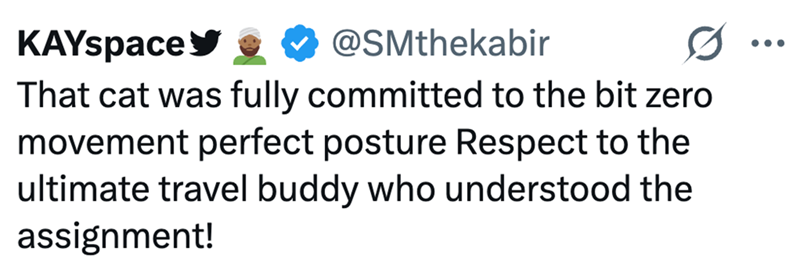 KAYspace @SMthekabir That cat was fully committed to the bit zero movement perfect posture Respect to the ultimate travel buddy who understood the assignment! ...