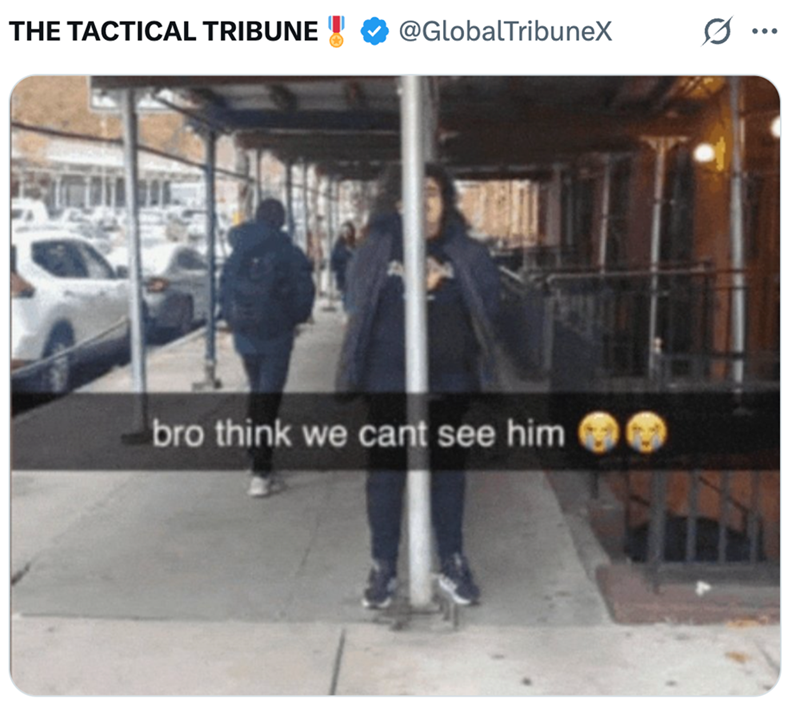 THE TACTICAL TRIBUNE @GlobalTribuneX bro think we cant see him
