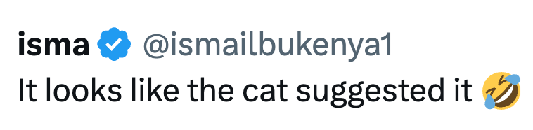 isma @ismailbukenya1 It looks like the cat suggested it