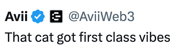 Avii @AviiWeb3 That cat got first class vibes