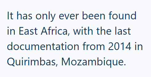 It has only ever been found in East Africa, with the last documentation from 2014 in Quirimbas, Mozambique.