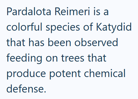 Pardalota Reimeri is a colorful species of Katydid that has been observed feeding on trees that produce potent chemical defense.