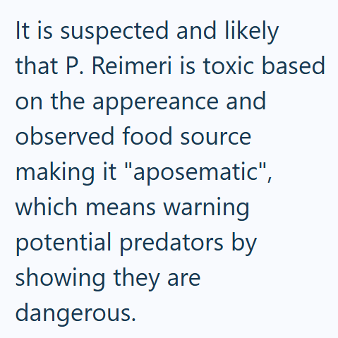 It is suspected and likely that P. Reimeri is toxic based on the appereance and observed food source making it "aposematic", which means warning potential predators by showing they are dangerous.