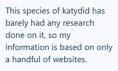 This species of katydid has barely had any research done on it, so my information is based on only a handful of websites.
