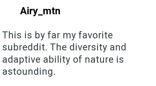 Airy_mtn This is by far my favorite subreddit. The diversity and adaptive ability of nature is astounding.