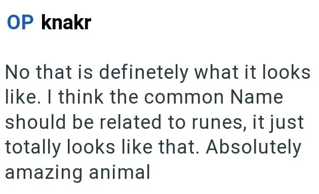 OP knakr No that is definetely what it looks like. I think the common Name should be related to runes, it just totally looks like that. Absolutely amazing animal