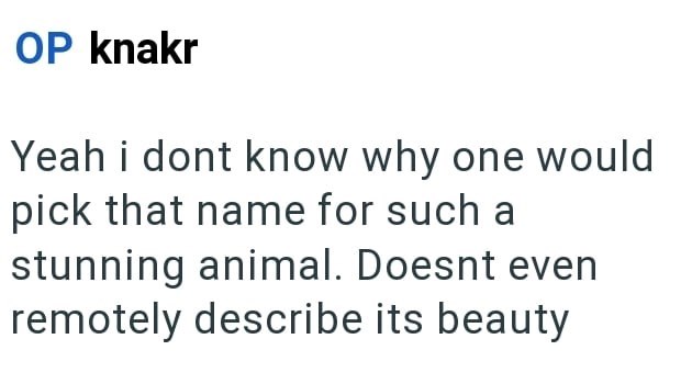OP knakr Yeah i dont know why one would pick that name for such a stunning animal. Doesnt even remotely describe its beauty