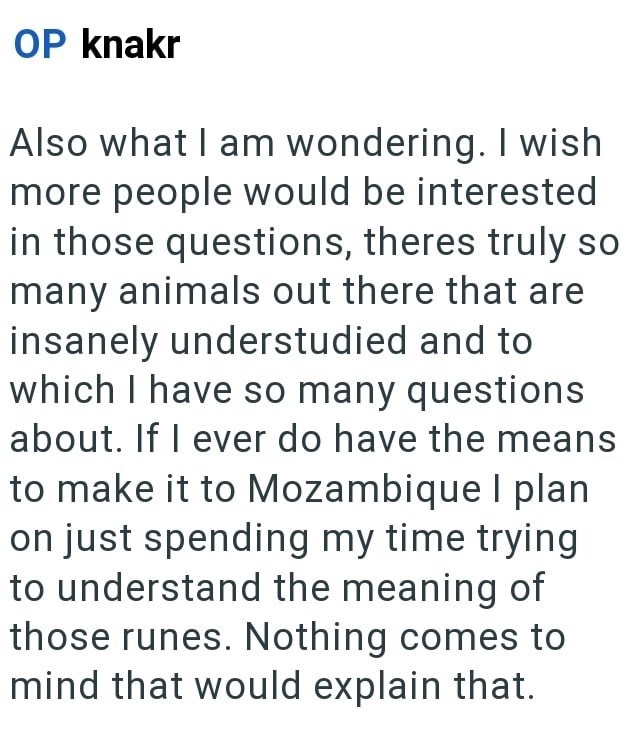OP knakr Also what I am wondering. I wish more people would be interested in those questions, theres truly so many animals out there that are insanely understudied and to which I have so many questions about. If I ever do have the means to make it to Mozambique I plan on just spending my time trying to understand the meaning of those runes. Nothing comes to mind that would explain that.