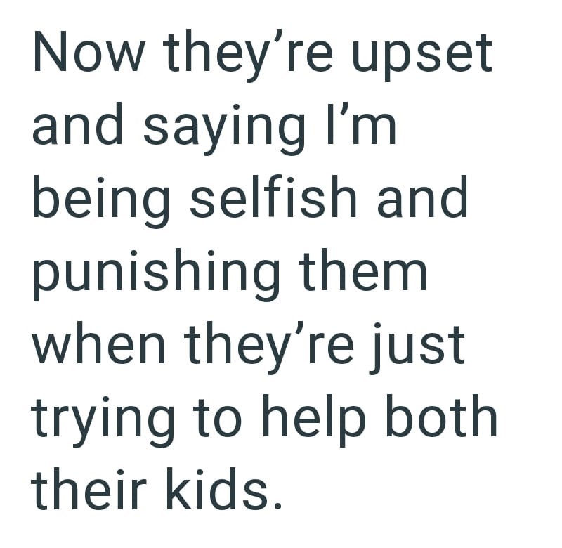 Now they're upset and saying I'm being selfish and punishing them when they're just trying to help both their kids.