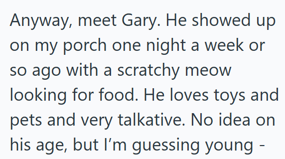 Anyway, meet Gary. He showed up on my porch one night a week or so ago with a scratchy meow looking for food. He loves toys and pets and very talkative. No idea on his age, but I'm guessing young -