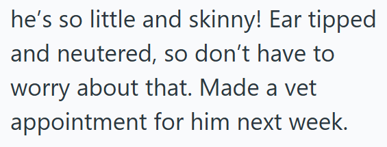 he's so little and skinny! Ear tipped and neutered, so don't have to worry about that. Made a vet appointment for him next week.