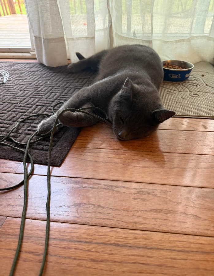 Cheezburger Image 10619456512