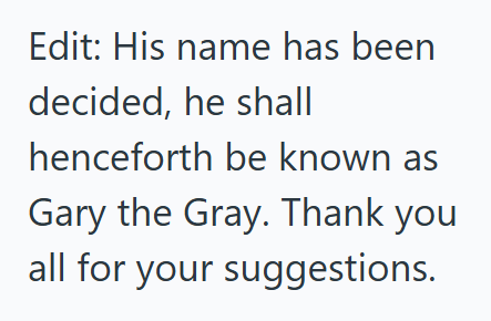 Edit: His name has been decided, he shall henceforth be known as Gary the Gray. Thank you all for your suggestions.