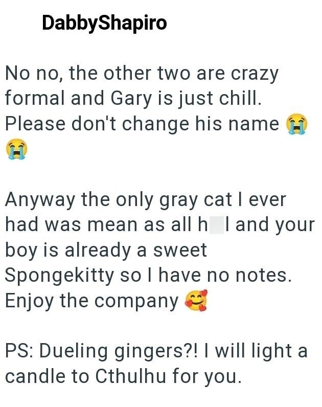 DabbyShapiro No no, the other two are crazy formal and Gary is just chill. Please don't change his name Anyway the only gray cat I ever had was mean as all h I and your boy is already a sweet Spongekitty so I have no notes. Enjoy the company PS: Dueling gingers?! I will light a candle to Cthulhu for you.