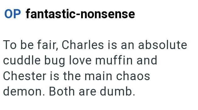 OP fantastic-nonsense To be fair, Charles is an absolute cuddle bug love muffin and Chester is the main chaos demon. Both are dumb.
