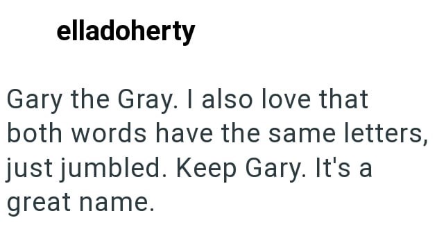 elladoherty Gary the Gray. I also love that both words have the same letters, just jumbled. Keep Gary. It's a great name.