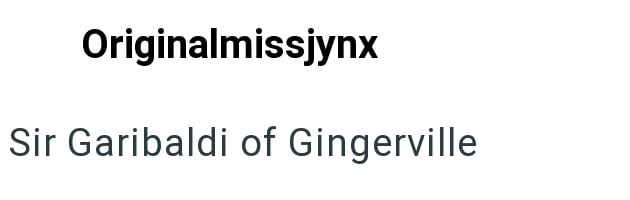 Originalmissjynx Sir Garibaldi of Gingerville
