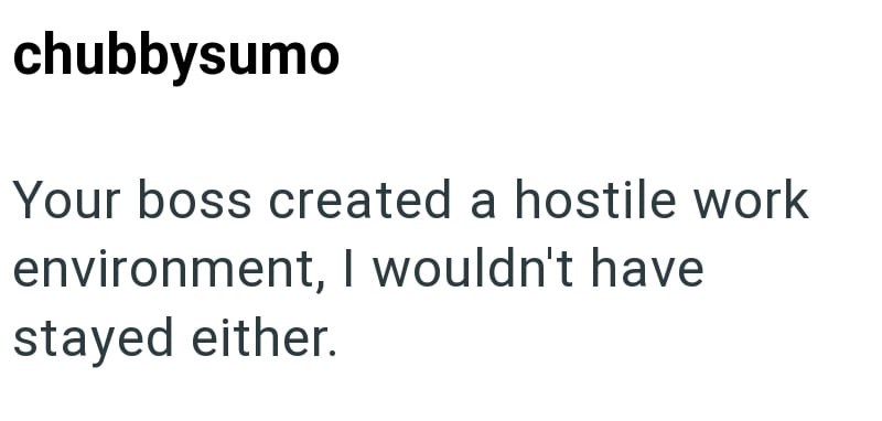 chubbysumo Your boss created a hostile work environment, I wouldn't have stayed either.