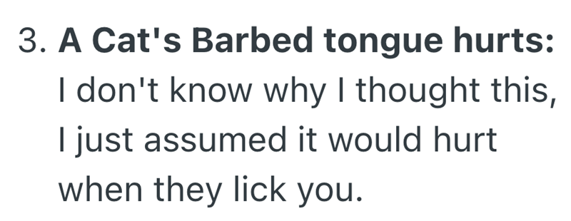 3. A Cat's Barbed tongue hurts: I don't know why I thought this, I just assumed it would hurt when they lick you.