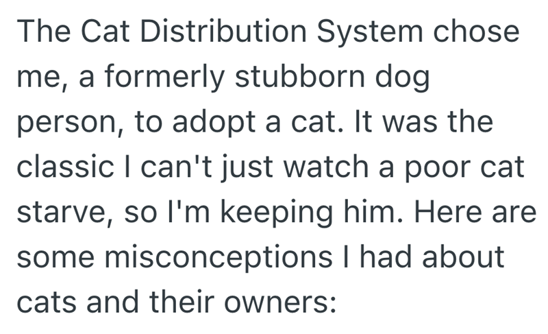 The Cat Distribution System chose me, a formerly stubborn dog person, to adopt a cat. It was the classic I can't just watch a poor cat starve, so I'm keeping him. Here are some misconceptions I had about cats and their owners: