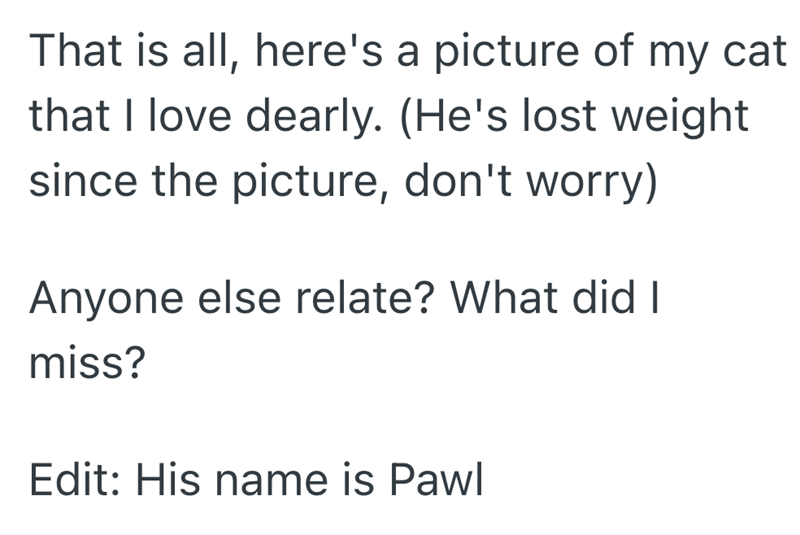 That is all, here's a picture of my cat that I love dearly. (He's lost weight since the picture, don't worry) Anyone else relate? What did I miss? Edit: His name is Pawl