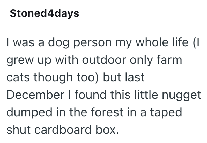 Stoned4days I was a dog person my whole life (I grew up with outdoor only farm cats though too) but last December I found this little nugget dumped in the forest in a taped shut cardboard box.