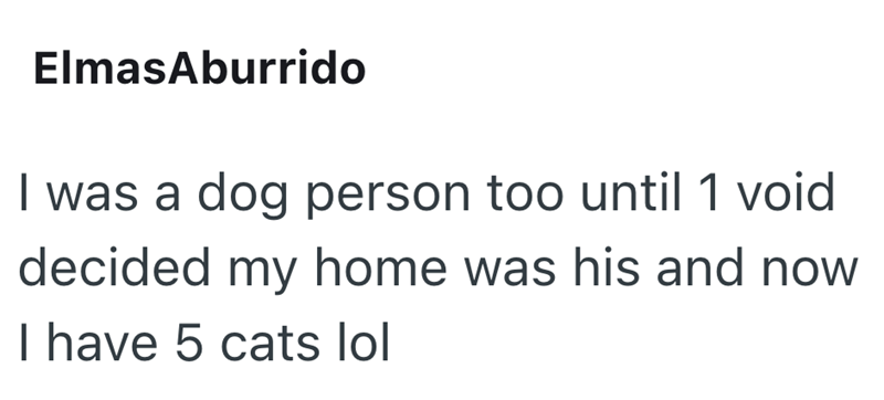ElmasAburrido I was a dog person too until 1 void decided my home was his and now I have 5 cats lol