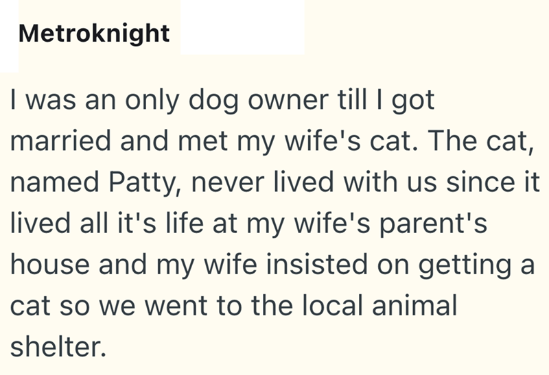 Metroknight I was an only dog owner till I got married and met my wife's cat. The cat, named Patty, never lived with us since it lived all it's life at my wife's parent's house and my wife insisted on getting a cat so we went to the local animal shelter.