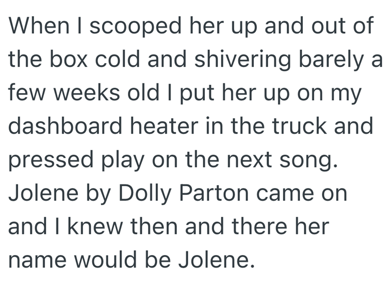 When I scooped her up and out of the box cold and shivering barely a few weeks old I put her up on my dashboard heater in the truck and pressed play on the next song. Jolene by Dolly Parton came on and I knew then and there her name would be Jolene.