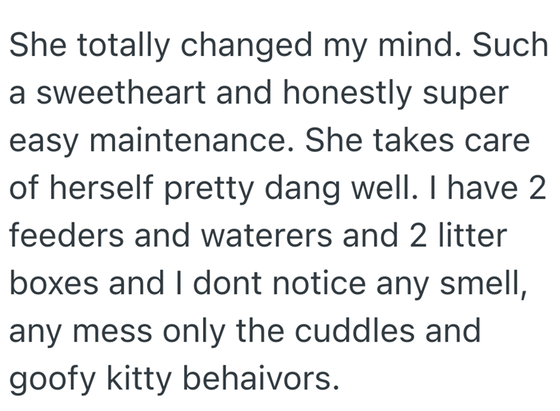 She totally changed my mind. Such a sweetheart and honestly super easy maintenance. She takes care of herself pretty dang well. I have 2 feeders and waterers and 2 litter boxes and I dont notice any smell, any mess only the cuddles and goofy kitty behaivors.