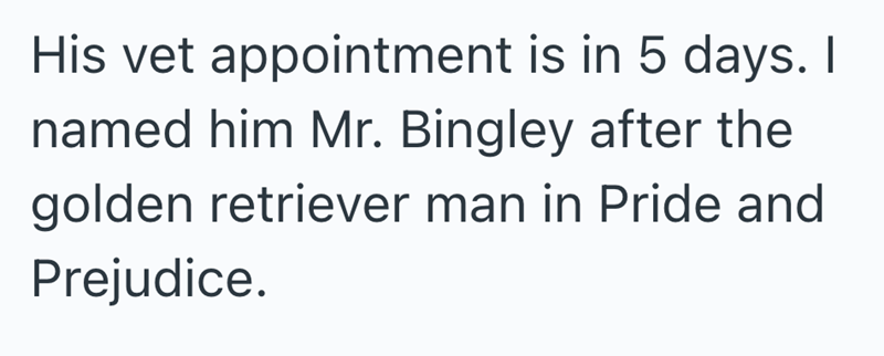 His vet appointment is in 5 days. I named him Mr. Bingley after the golden retriever man in Pride and Prejudice.