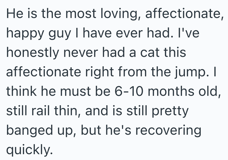 He is the most loving, affectionate, happy guy I have ever had. I've honestly never had a cat this affectionate right from the jump. I think he must be 6-10 months old, still rail thin, and is still pretty banged up, but he's recovering quickly.