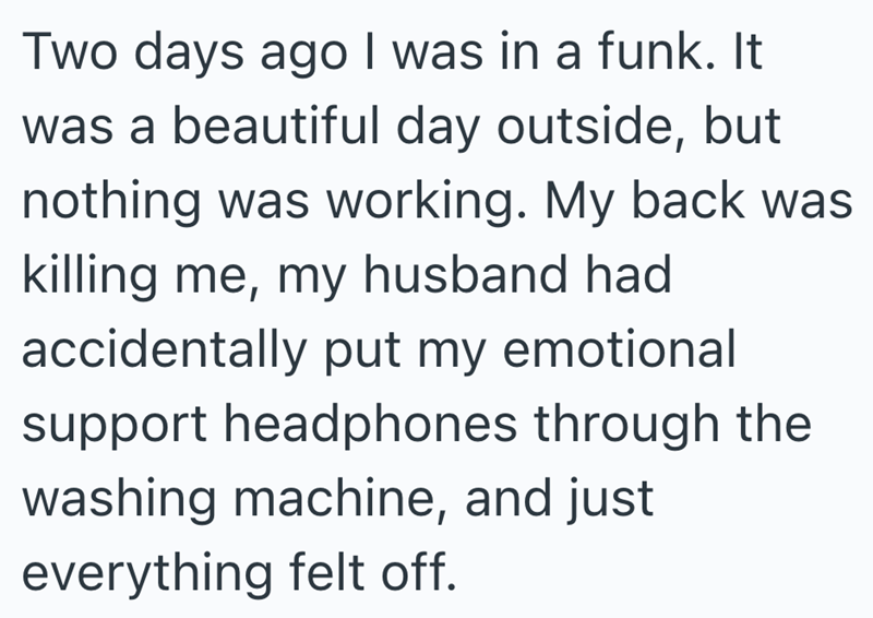 Two days ago I was in a funk. It was a beautiful day outside, but nothing was working. My back was killing me, my husband had accidentally put my emotional support headphones through the washing machine, and just everything felt off.