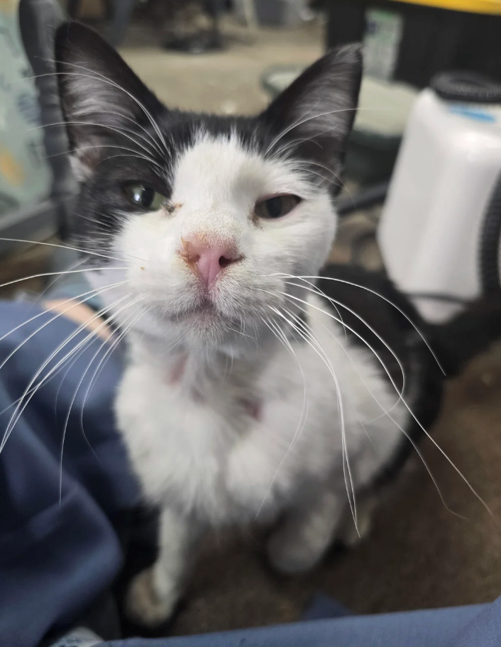 Cheezburger Image 10619499776