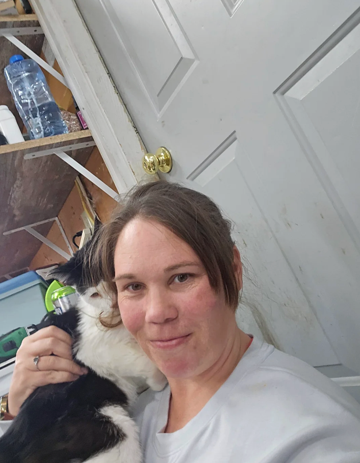 Cheezburger Image 10619500032