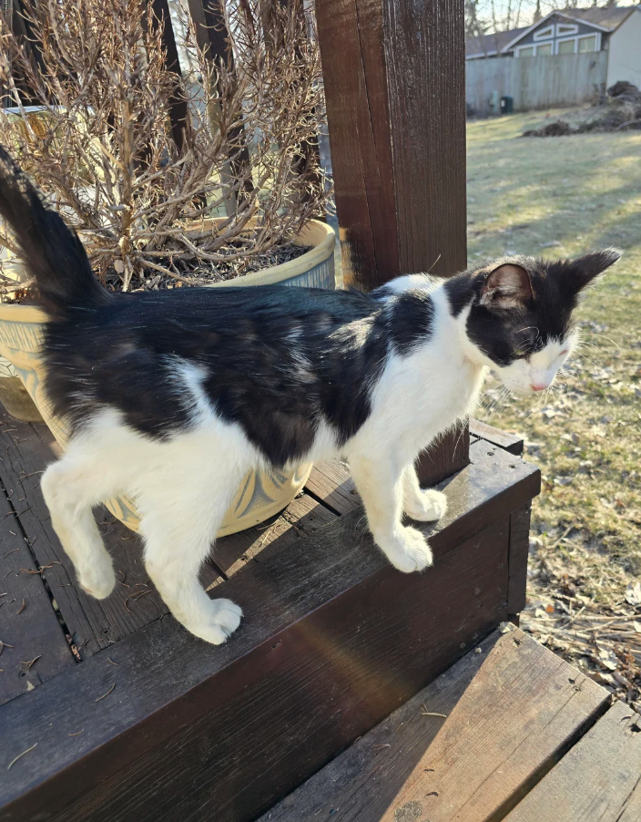 Cheezburger Image 10619500544