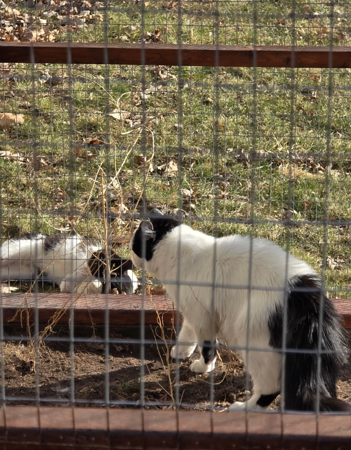 Cheezburger Image 10619500800