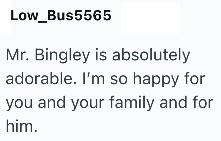 Low_Bus5565 Mr. Bingley is absolutely adorable. I'm so happy for you and your family and for him.